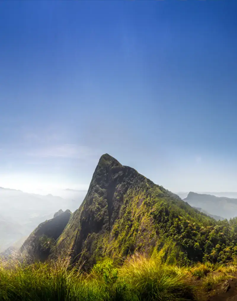 tourist places in kerala