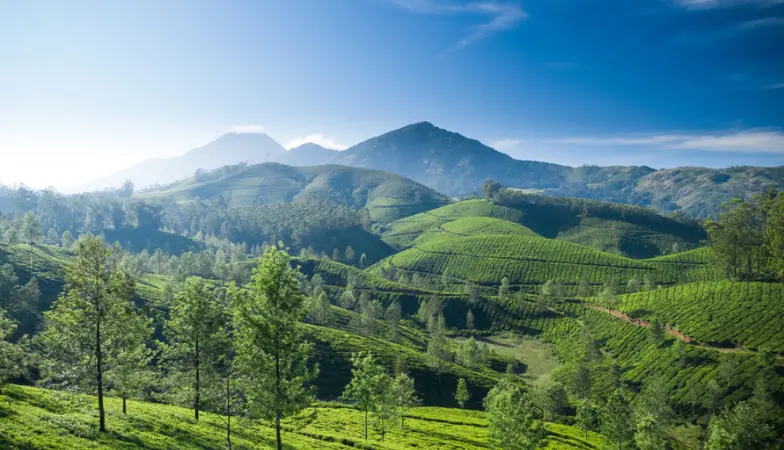 kerala travel packages