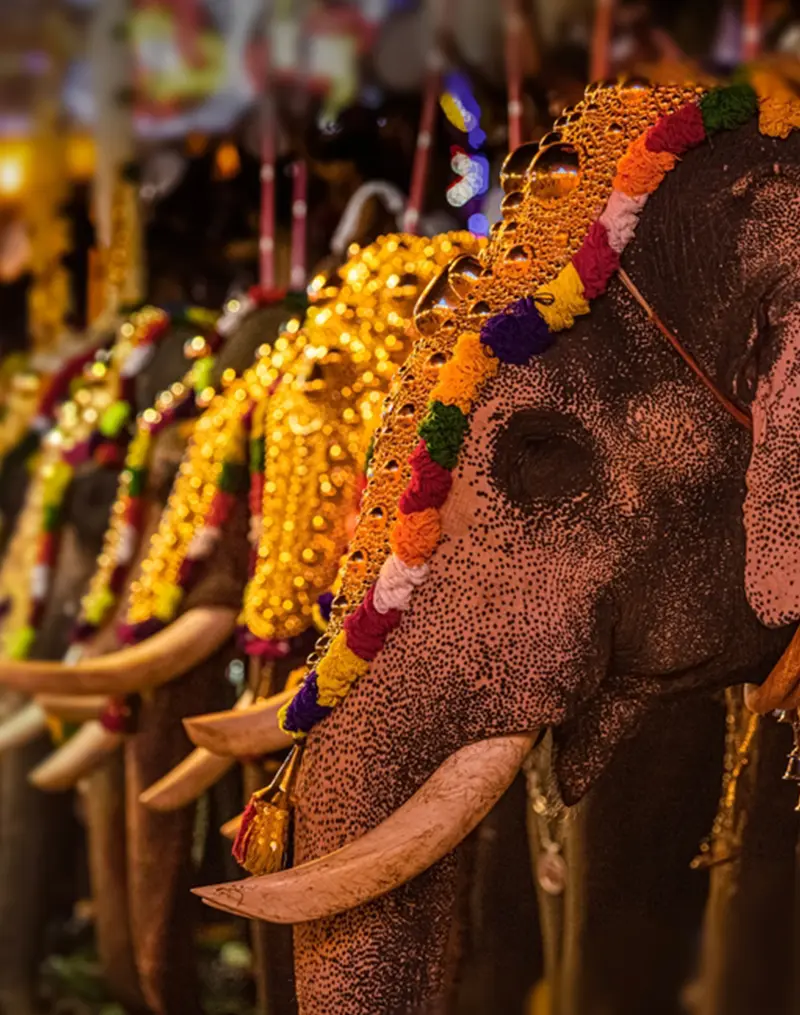 tourist places in kerala