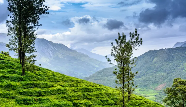 south kerala tour packages